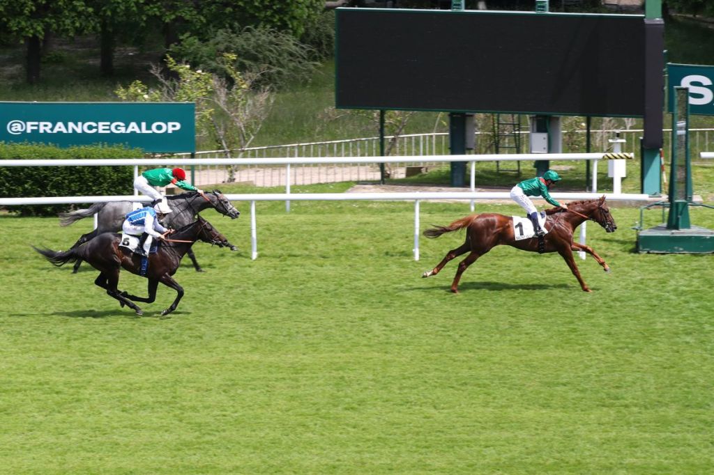 兩法國馬加入葉森打吡補充報名行列