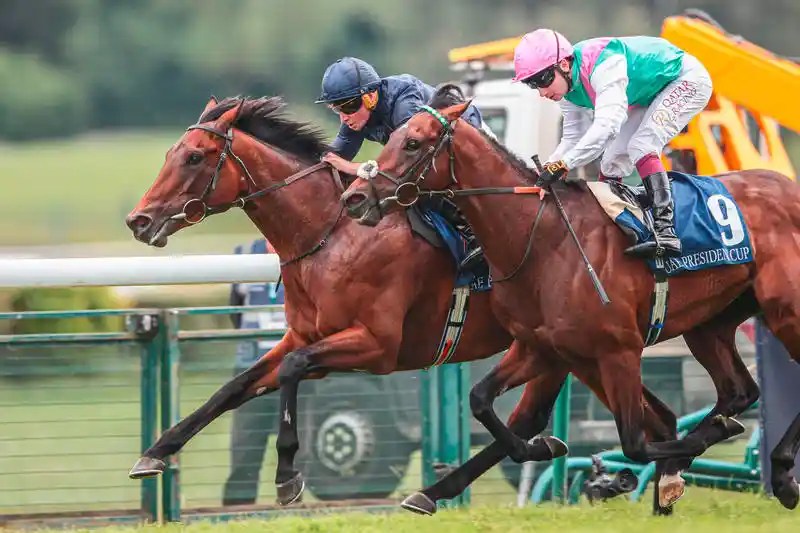 2025年9月7日賽馬日（10場田草、A跑道）、五場轉播賽各場推介