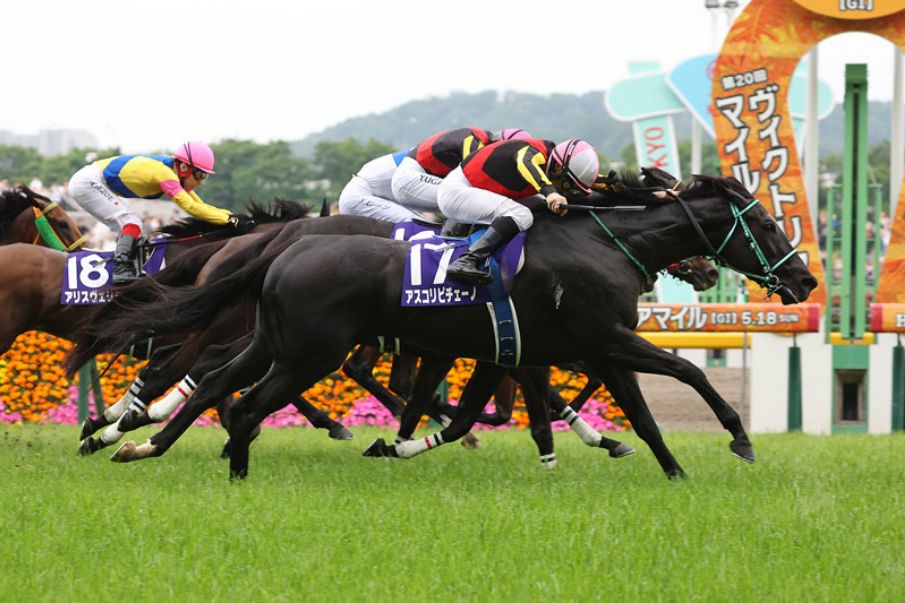 2025年8月17日傑克莫華大賽（S0）精選