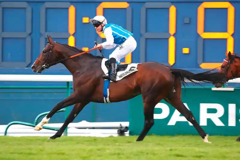 同工之妙瓶中突圍