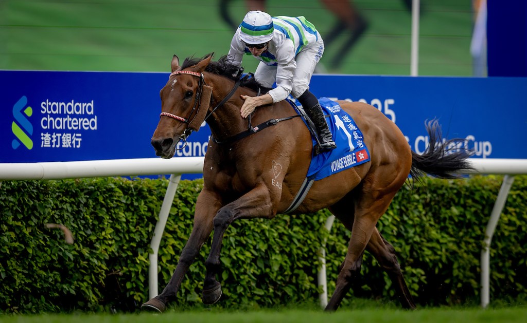 氣泡重返一哩錦標，還是另有奇兵？（註：越駿歡欣退出和平波補上）