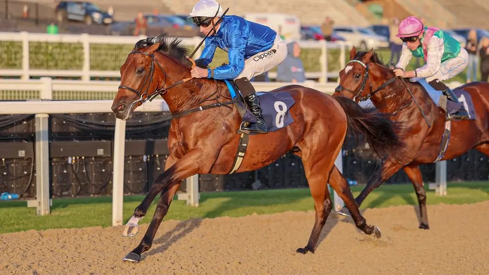 蘇萊現颶風警戒