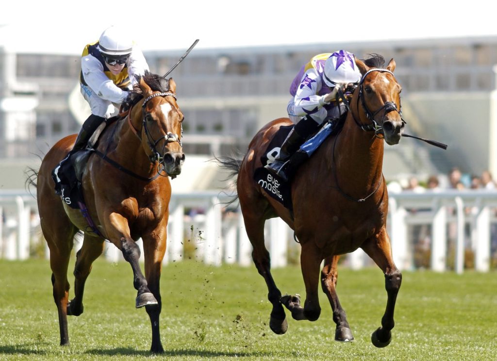 異軍突起沙丁強兵