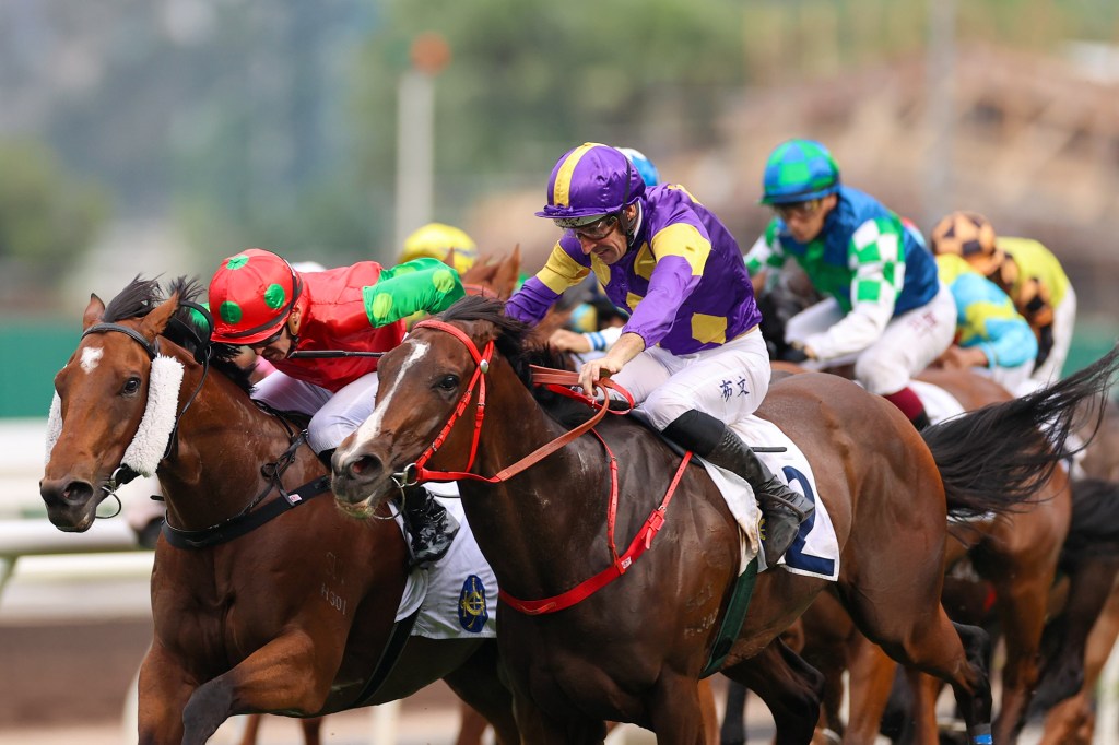 嘉應高昇征戰澳洲密密出戰，1檔成關鍵