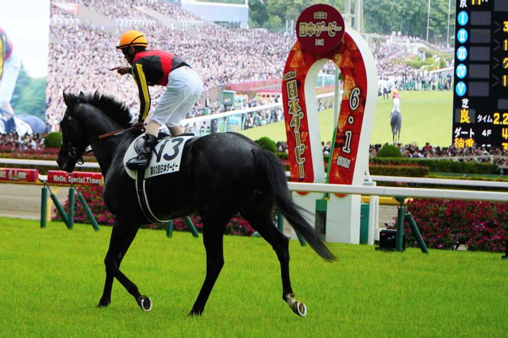 北十字星、百塔意城及拯救者遠征，但有一駒留在日本