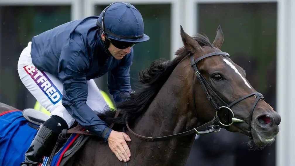 愛爾蘭打吡，佳駿之村鬥前照贏