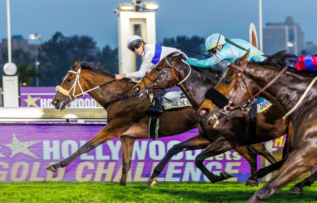 每日賽馬晚報（2025年6月10日），🇮🇪🇬🇧維多湖避戰皇家雅士谷，🇿🇦戴夫大王金挑戰無敵