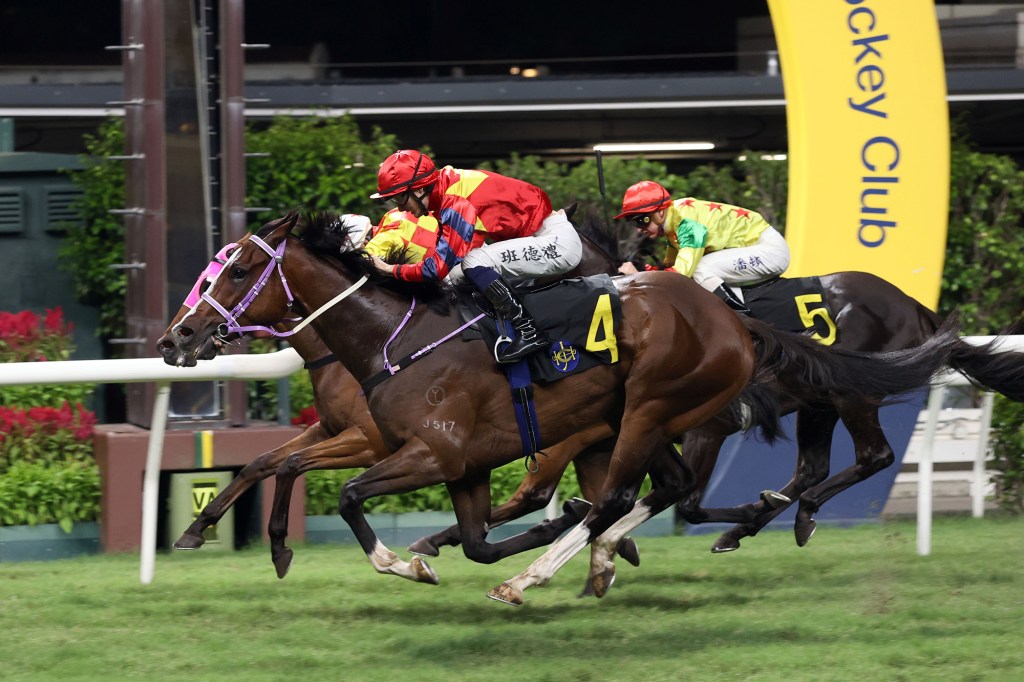 每日賽馬晚報（2025年6月12日），🇺🇸🇬🇧華特皇家雅士谷零派馬，🇯🇵寶徠歌劇1檔力保無敵星星