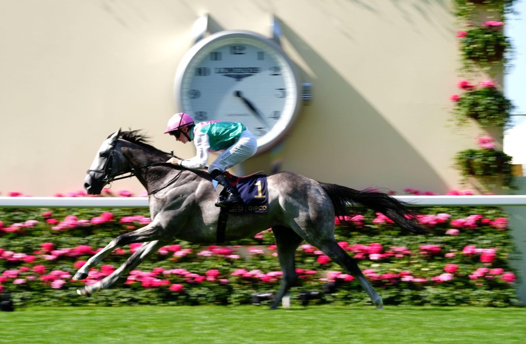 第二屆民間最受香港馬迷欣賞海外馬匹