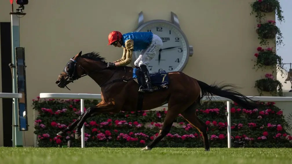 2025年7月29日古活盃賽馬日（S1）推介