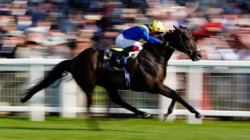 每日賽馬晚報(2025年6月20日),🇦🇺潘頓入選澳洲賽馬殿堂,🇬🇧易健寧獲續約生日禮物