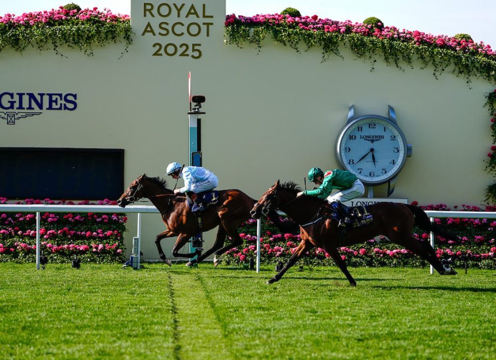 猛雷避戰英皇錦標