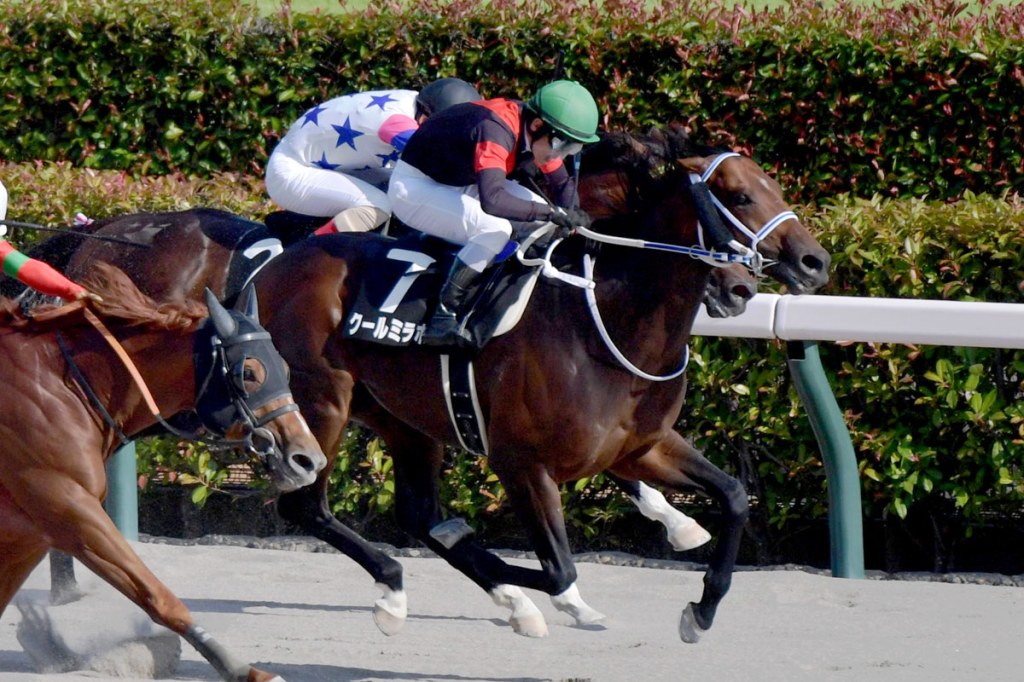 每日賽馬晚報（2025年6月21日），🇮🇪老牌練馬師彭達嘉永別，🇬🇧冠軍車手子嗣取下首勝
