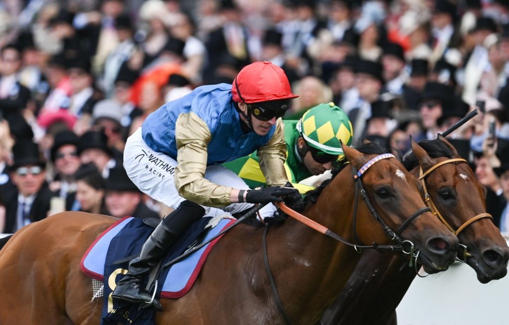 禧年錦標，別具風味完敗里見夢境