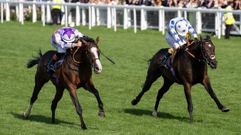 每日賽馬晚報（2025年6月22日），🇬🇧高仕登成皇家雅士谷練馬師王，🇯🇵東赤兔不放贏三級賽