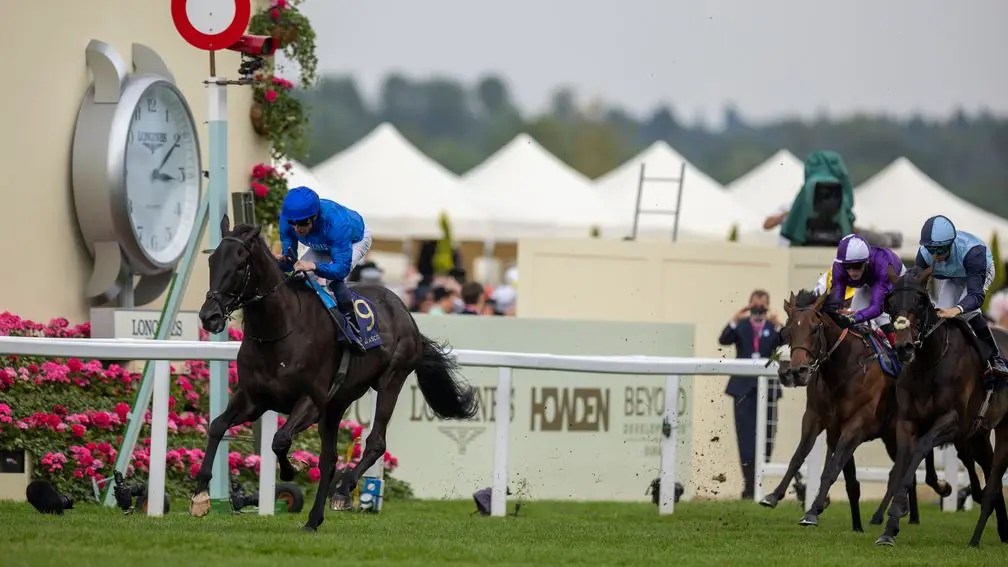 夏域錦標，桀驁之戀超班幫艾柏賓破咒