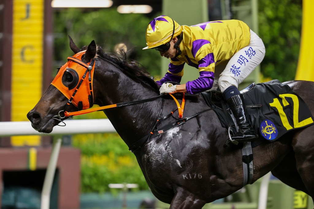 每日賽馬晚報（2025年6月26日），🇭🇰希威森養傷兩個月，🇭🇰冠軍人馬獎已有兩個獎項內定