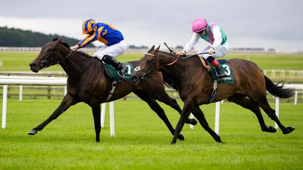 2025年7月31日蘭秀錦標賽馬日（S3）強勢推介