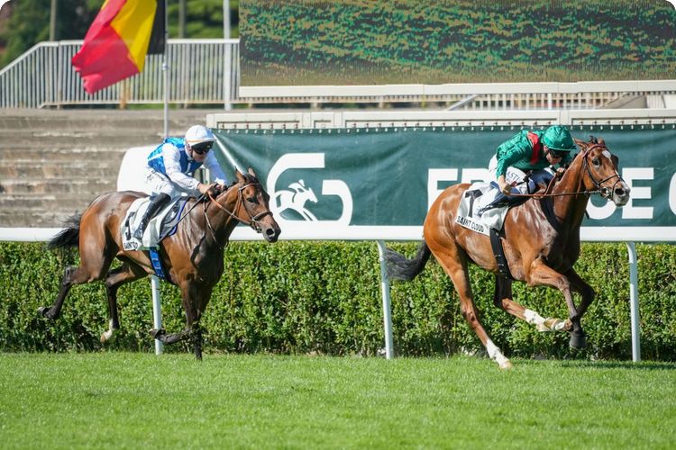 聖格盧大賽，格倫島第五度挑戰贏下一級賽