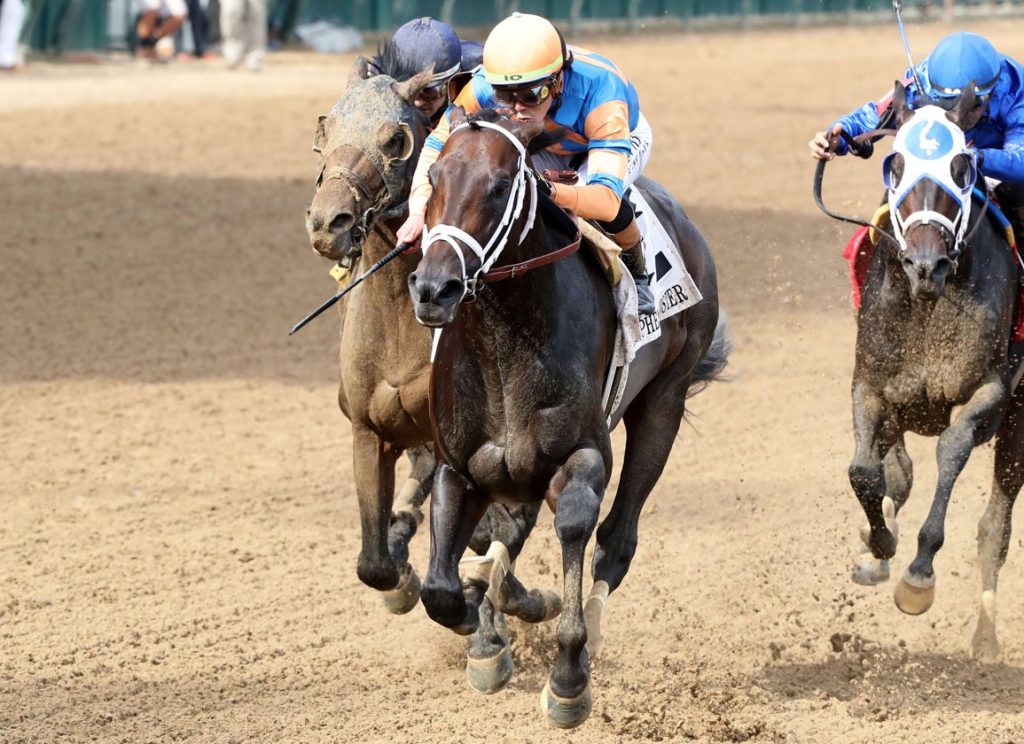 不只有激烈，好心態成馬主雙刀