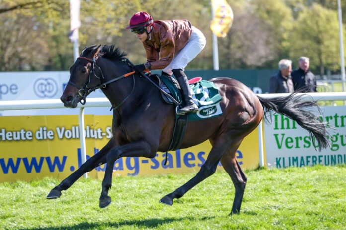 回歸原點的德國打吡及岳伯仁驚喜補充報名的莊柏德大賽