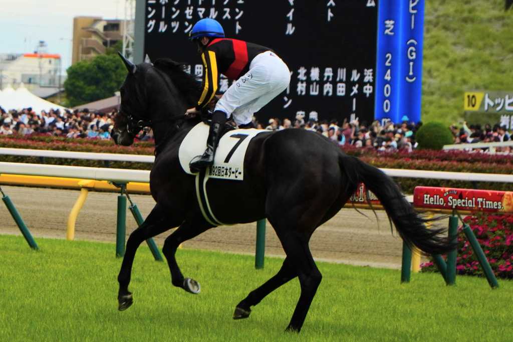 每日賽馬晚報（2025年11月12日），🇯🇵🇭🇰博物街不參加香港國際賽事， 🇯🇵🇫🇷🇮🇪日本盃只剩一匹外隊馬參加