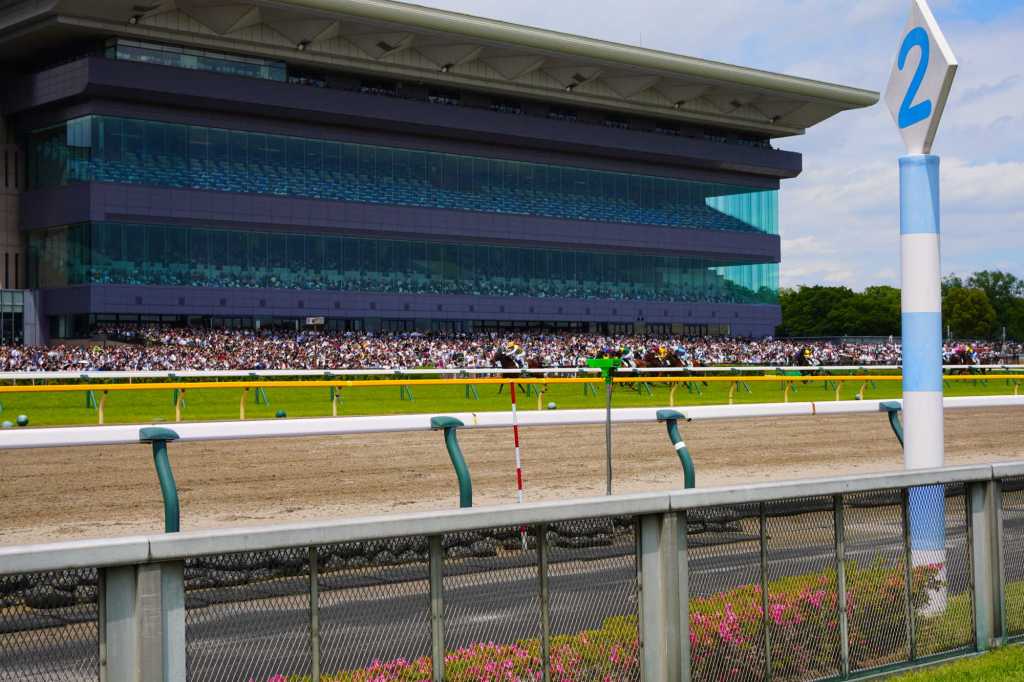 東京競馬場到訪記