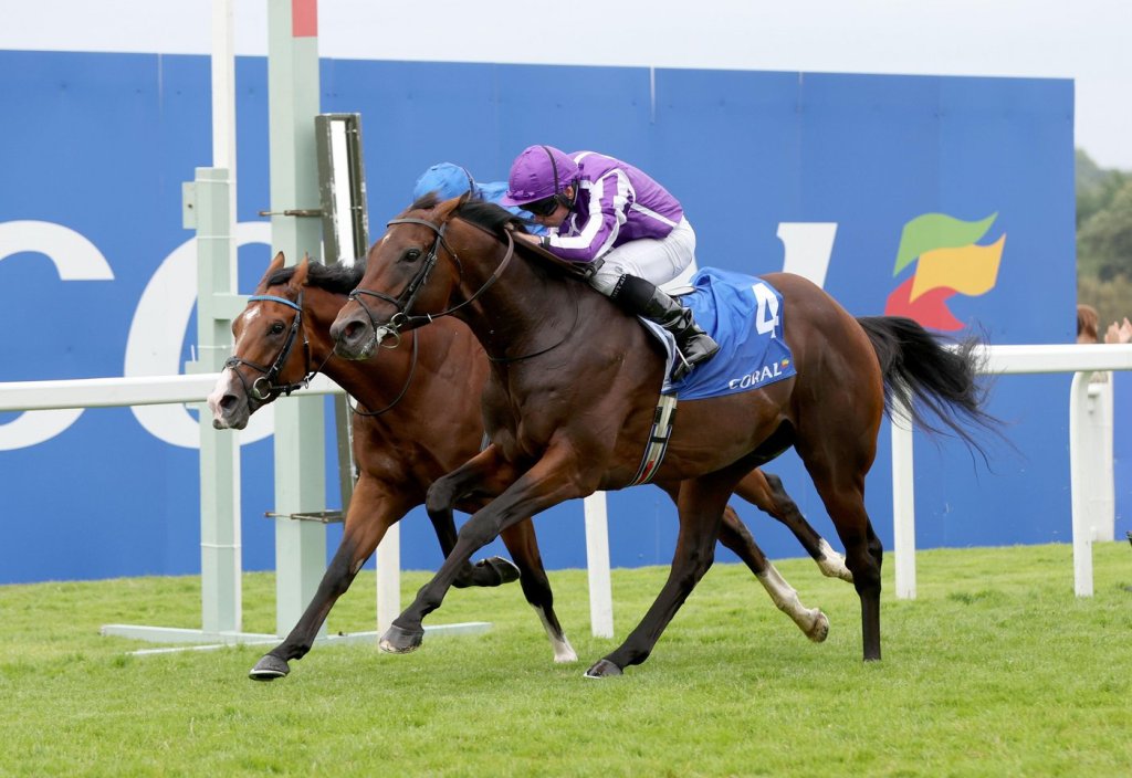 岳伯仁或派開路馬出戰愛爾蘭冠軍錦標