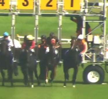 雪蘭莪涉跳馬巴西騎師被罰18個月停賽