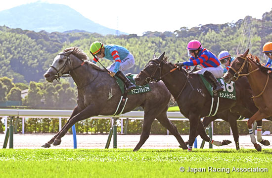 泥地怪傑猛熊半弟Yamanin al Rihla短途馬錦標出擊