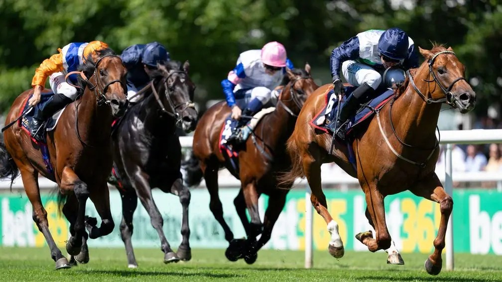 每日賽馬晚報（2025年7月11日），🇦🇺高多芬澳洲分配其他練馬師馬匹，🇬🇧Opera Bello表列賽二連勝