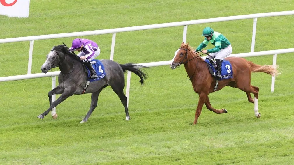 每日賽馬晚報（2025年7月15日），🇦🇺好天朗不會避精緻之道，🇯🇵春秋分當歲子嗣身價迫近6億日圓