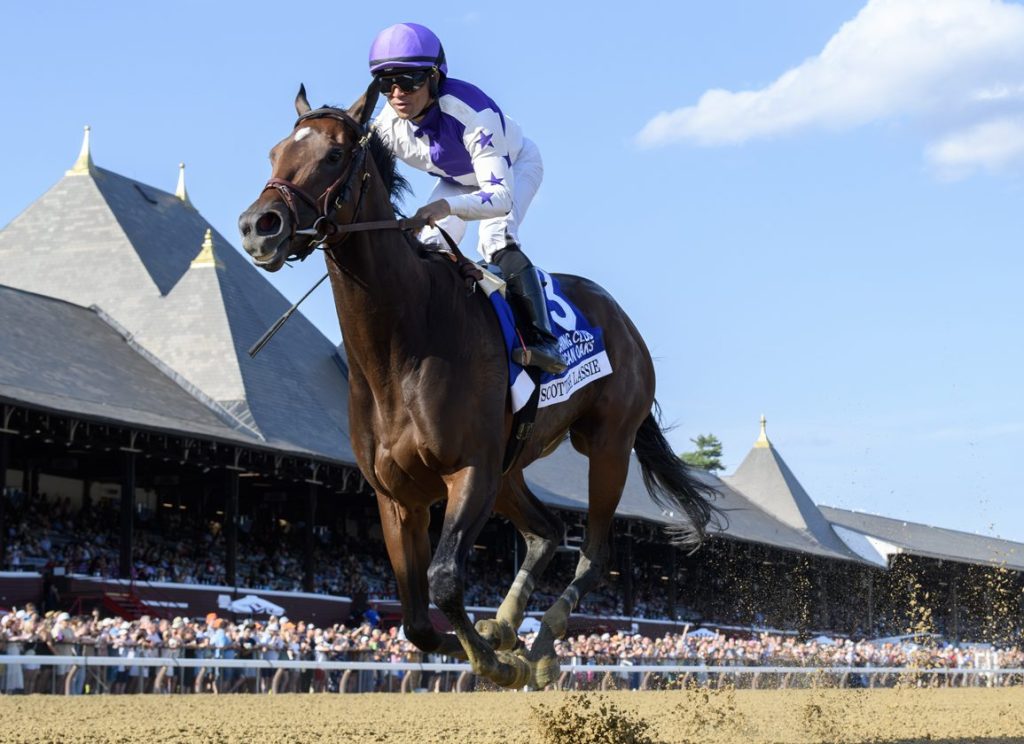 每日賽馬晚報（2025年7月20日），🇮🇪維多湖或有機會直接退役，🇯🇵金美琪姐姐憑A Shin Deed一放到底