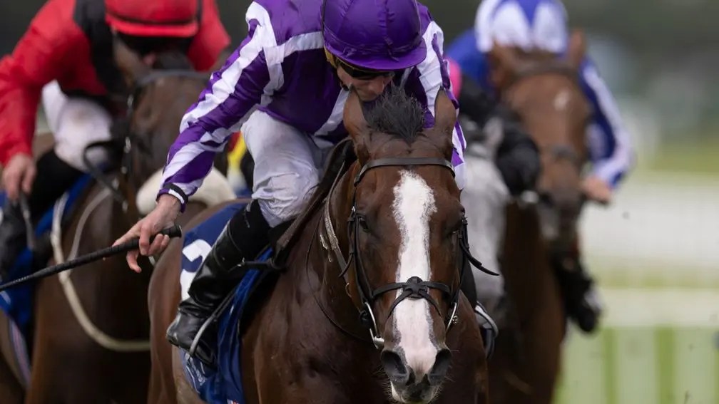 每日賽馬晚報（2025年7月22日），🇺🇸Journalism八月勤力再跑多場，🇮🇪宮廷畫匠二級賽反勝