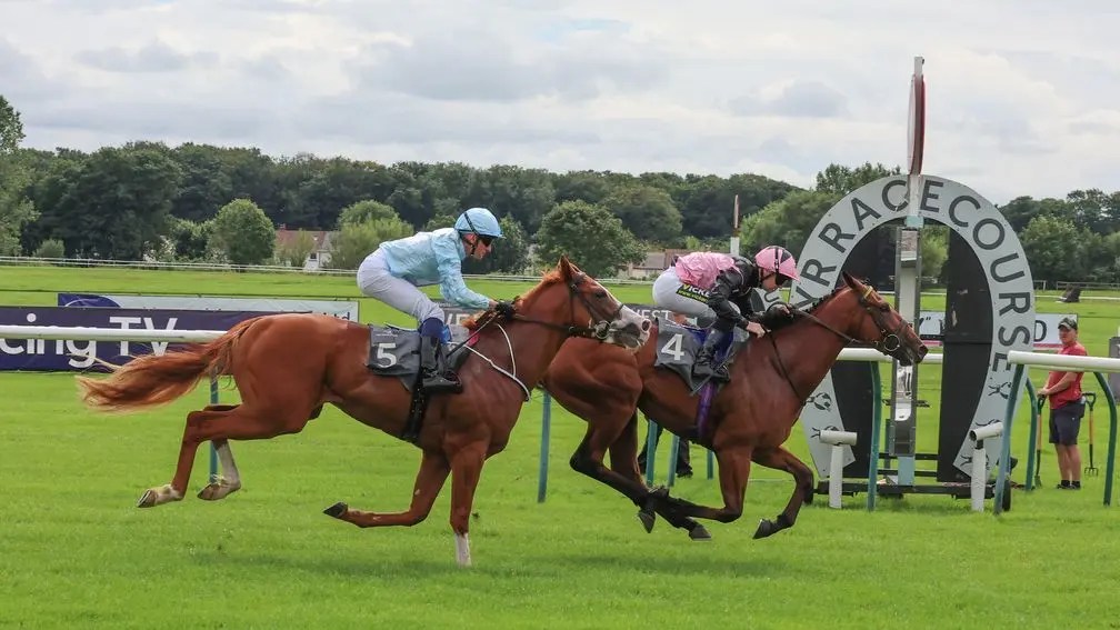 每日賽馬晚報（2025年7月23日），🇬🇧旋律套曲參加約克錦標，🇬🇧皇家雅士谷上名馬暗敵處女馬不敵初出馬