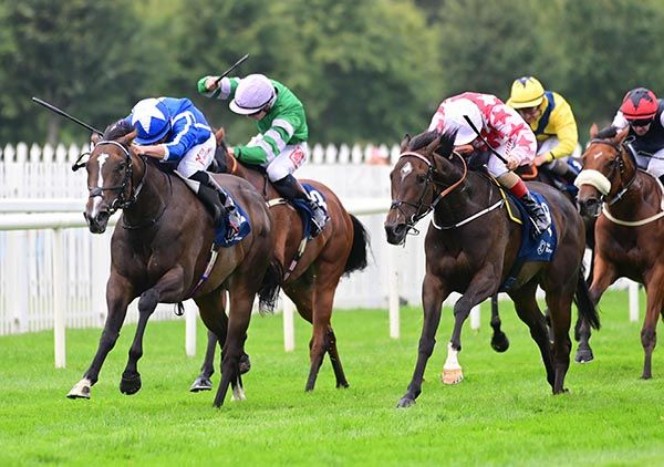 每日賽馬晚報(2025年7月24日),🇭🇰樂聲盃破格十月週日舉行,🇯🇵玫瑰騎士有意跑墨爾本盃