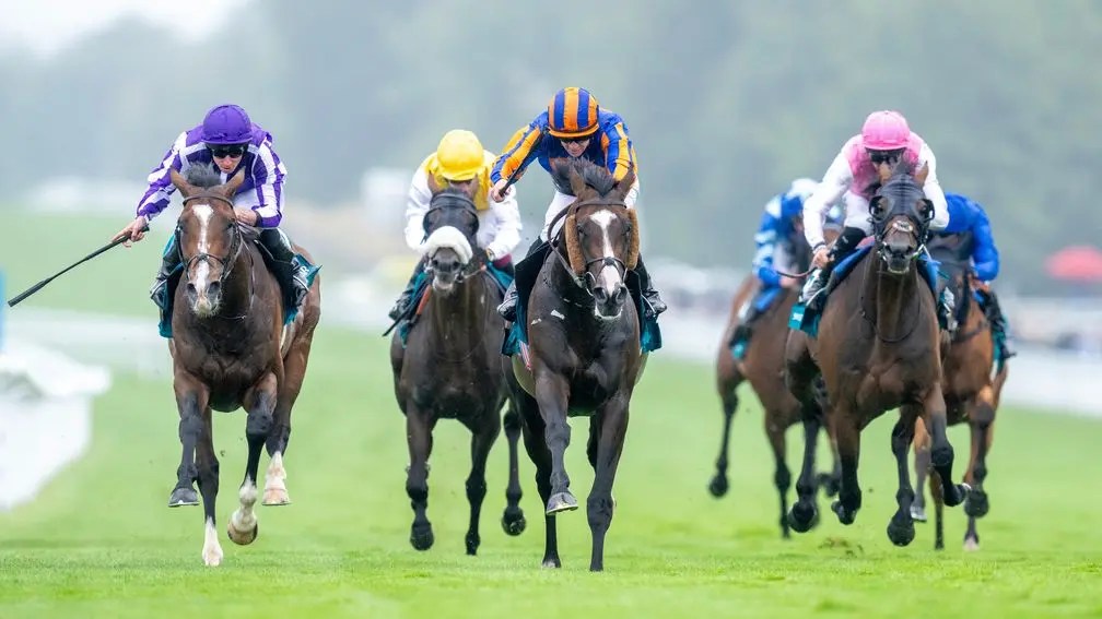 岳伯仁派出三人應付聖烈治錦標戰線