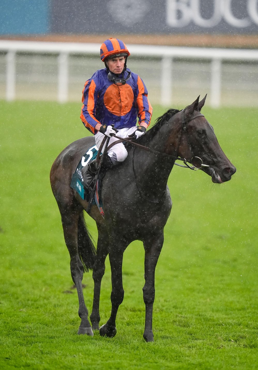 蘭秀錦標，旋乾轉坤決心放到底