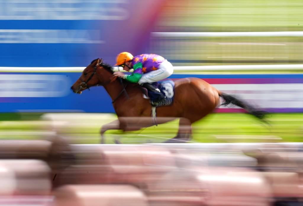 兩歲馬集結楠索普，辣初戀加入戰團