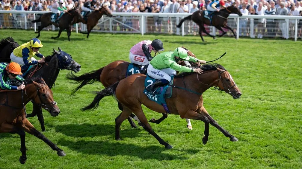 英皇佐治錦標，烈酒醉心從讓賽中上位