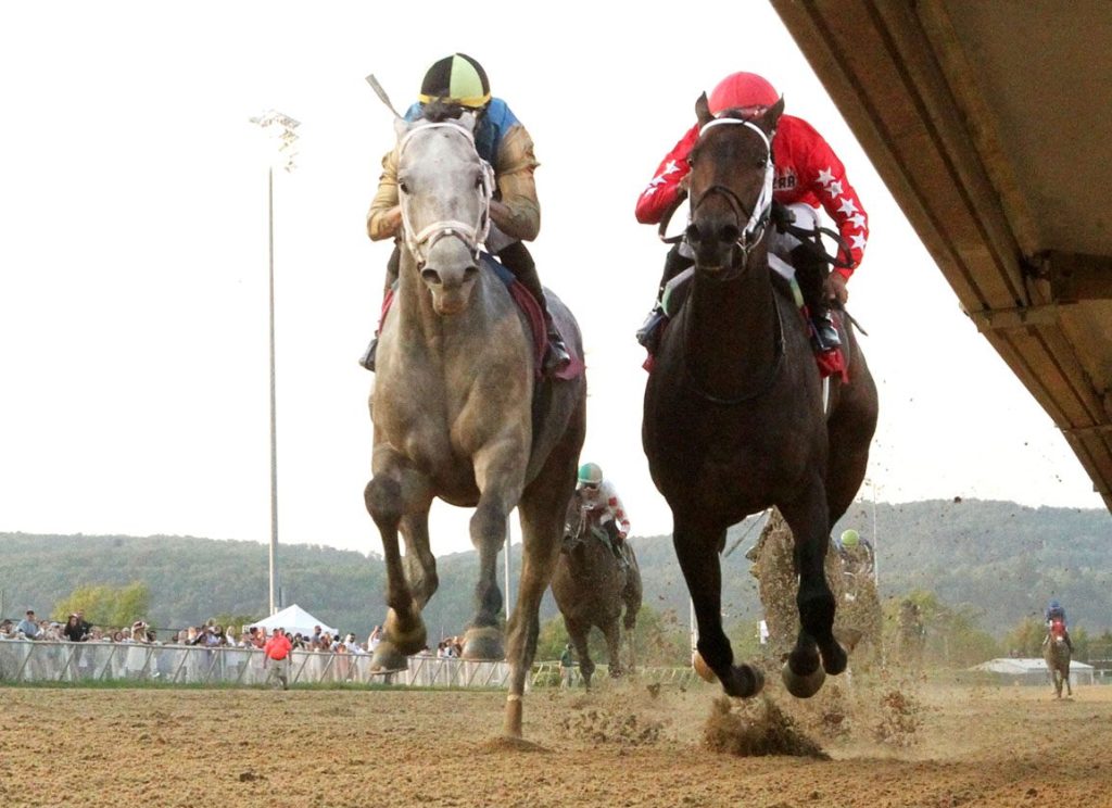 每日賽馬晚報(2025年8月5日),🇯🇵賽馬主題日劇10月播,🇺🇸大熱劇目表列賽贏馬