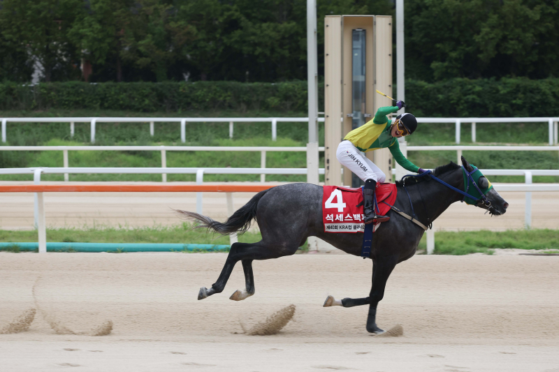 每日賽馬晚報（2025年8月7日），🇺🇸Journalism半妹未能出售，🇰🇷Success Baekpa擊敗紅遍全球