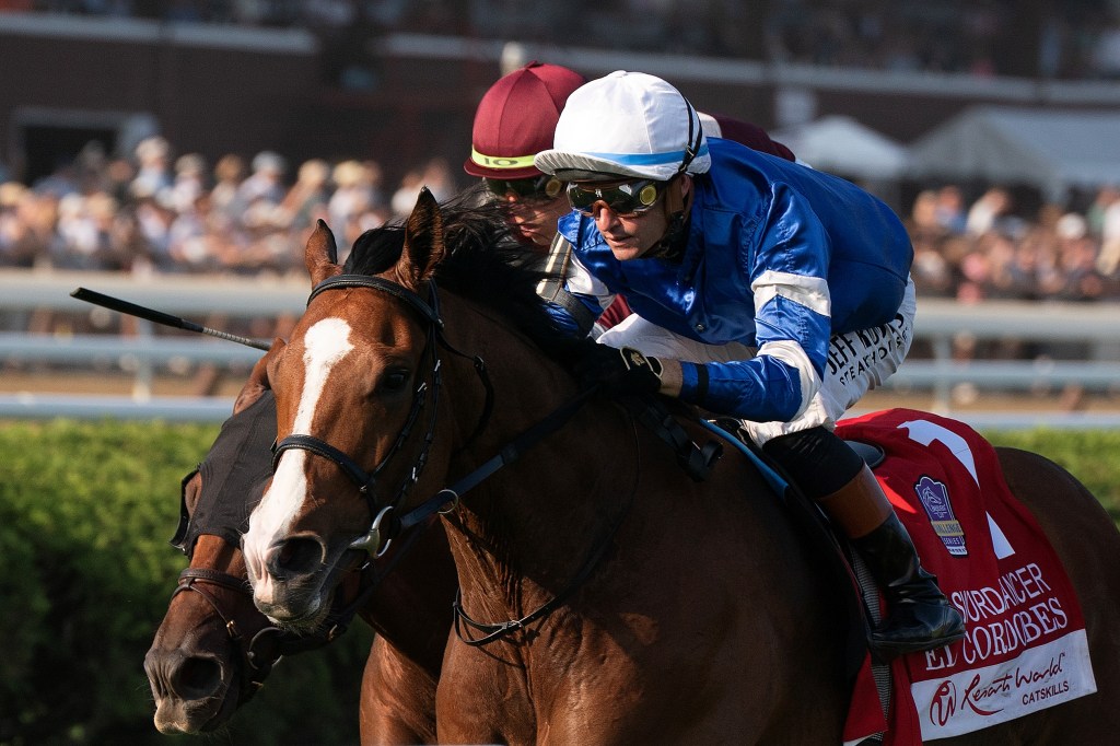 每日賽馬晚報（2025年8月11日），🇺🇸Sandman參入挑戰草地行列，🇺🇸鬥牛悍將奪劍舞者