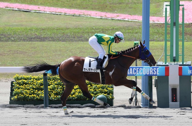 每日賽馬晚報（2025年8月28日），🇺🇸Locked育馬者盃前跑二級賽，🇬🇧傳奇騎師勞亦思與世長辭