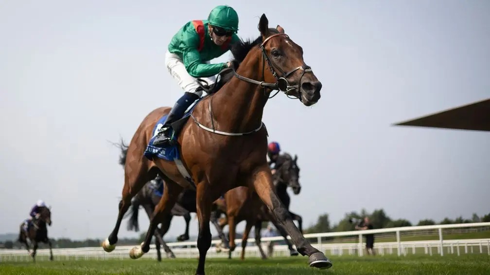 爭輝一族參加愛爾蘭冠軍錦標