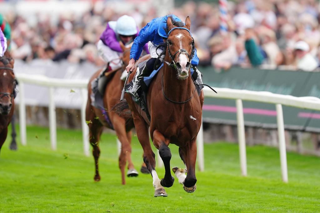 國際錦標，監察官成功用電兔馬建功