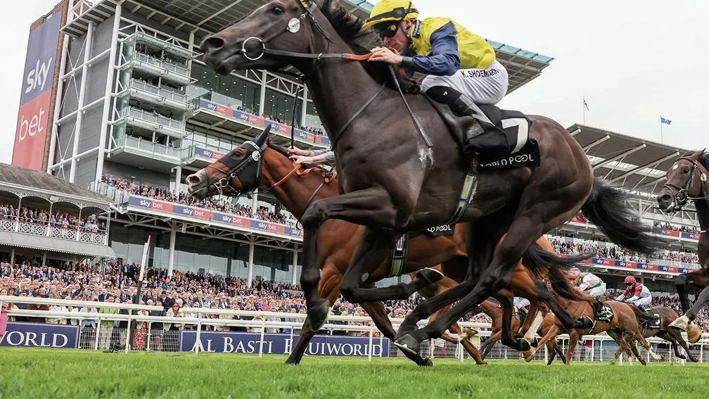 每日賽馬晚報（2025年8月21日），🇯🇵巴度及田泰安於WASJ獲得什麼座騎？🇦🇺精緻之道雲絲仙子錦標急上陣