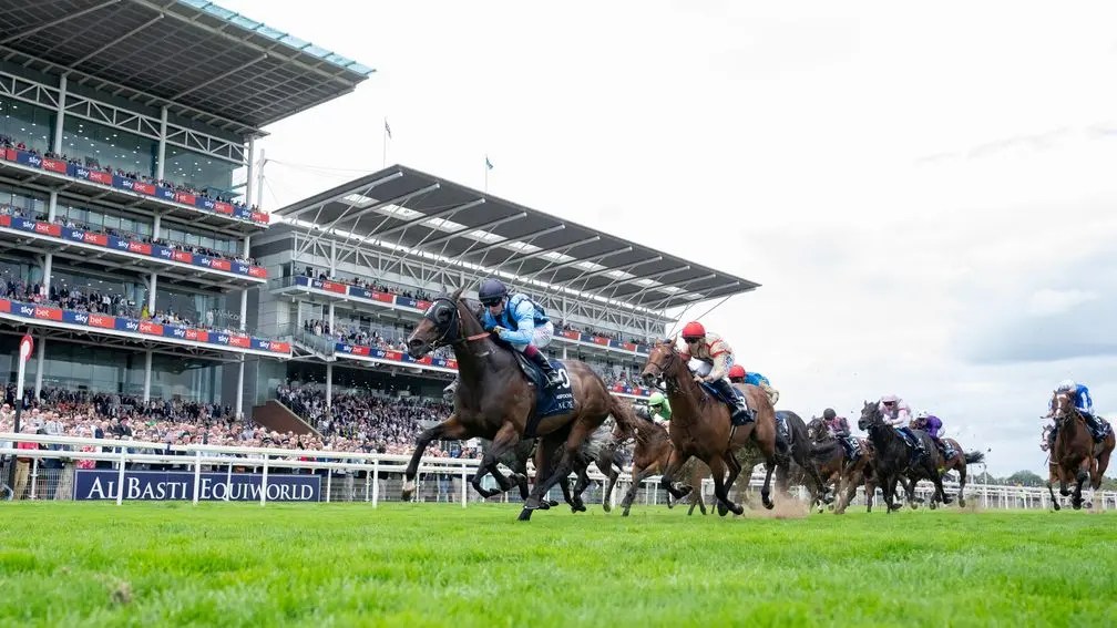 楠索普錦標，飛雀復活，兩歲馬全不見影