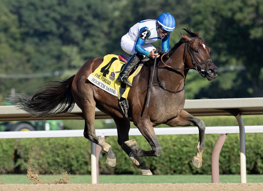 每日賽馬晚報(2026年2月17日),🇺🇸🇦🇪全部拿下或跑金莎軒,🇸🇦🇺🇸三匹巴富達馬匹返回美國