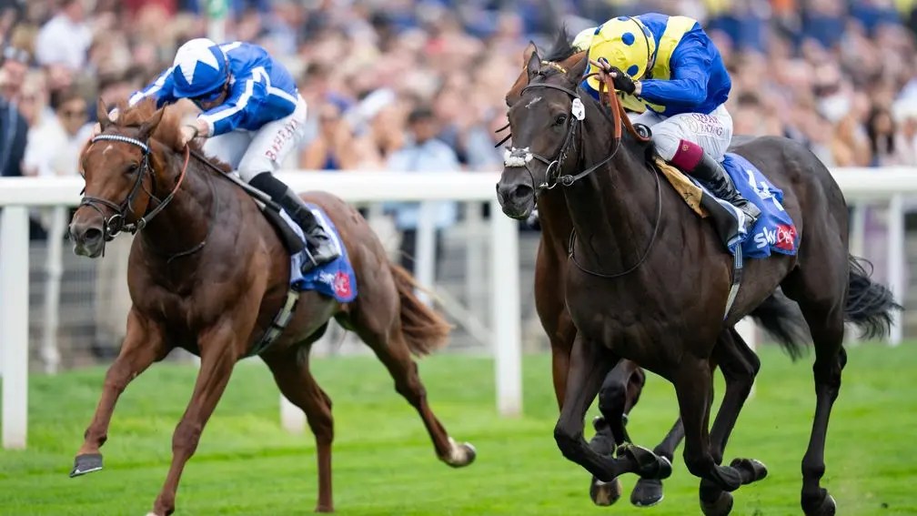 約克市錦標，勇無比轉倉後大有進步